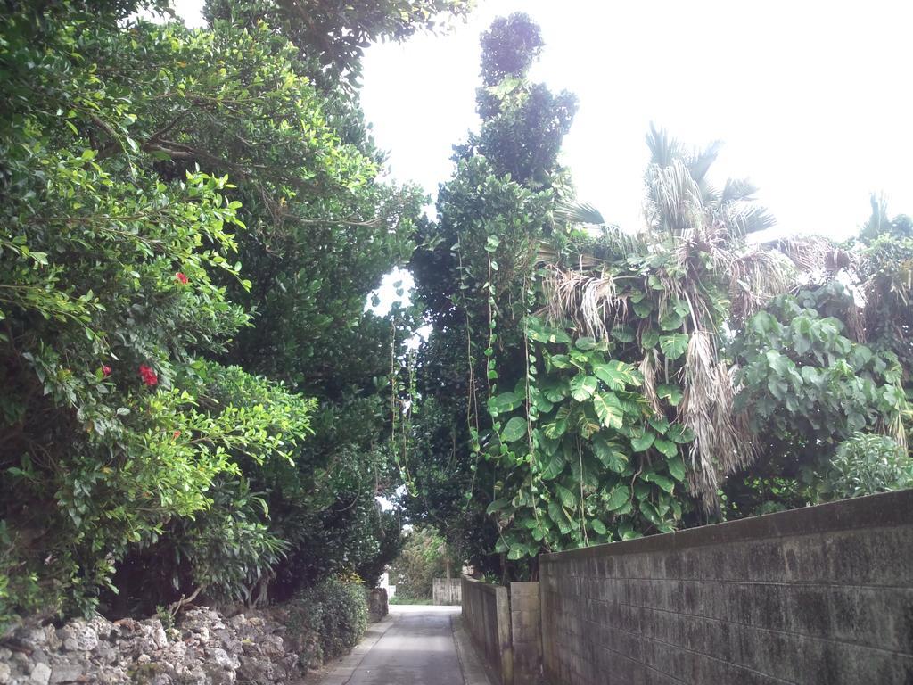 碧海白保之宿旅馆 Ishigaki  外观 照片